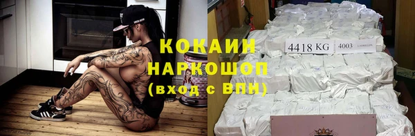 гашик Богданович