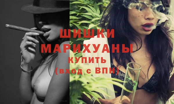 дживик Богородицк