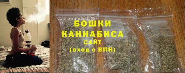 дживик Богородицк