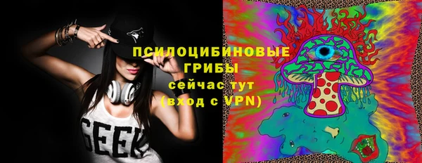 дживик Богородицк