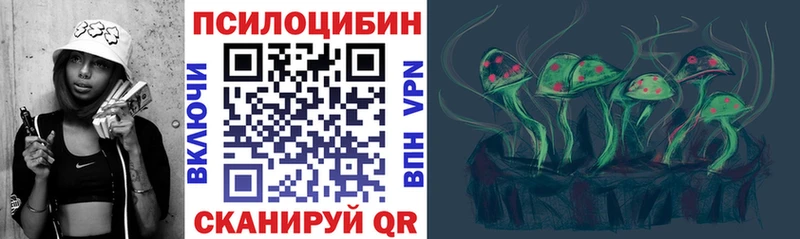 хочу   Майкоп  Псилоцибиновые грибы MAGIC MUSHROOMS 